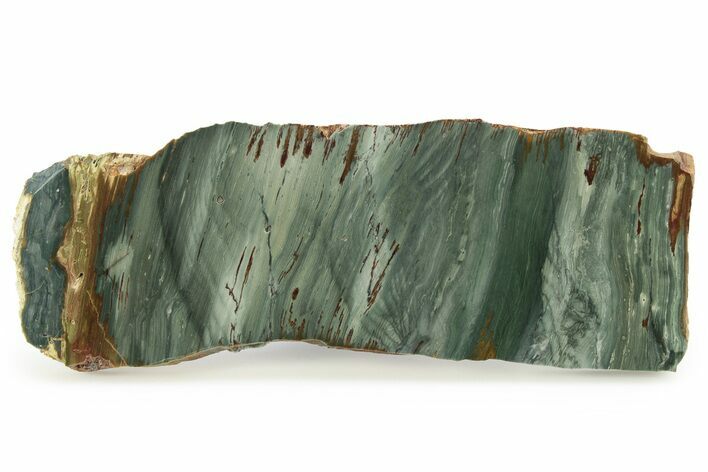 Gary Green Jasper (Larsonite) Bog Wood Slab - Oregon #263358